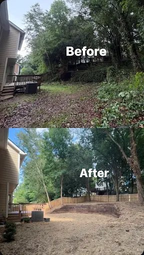 Backyard clearing before and after