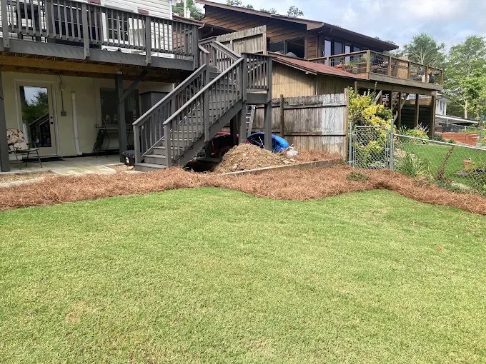 Fresh lawn project