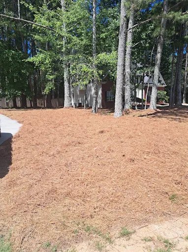 Pine straw installation